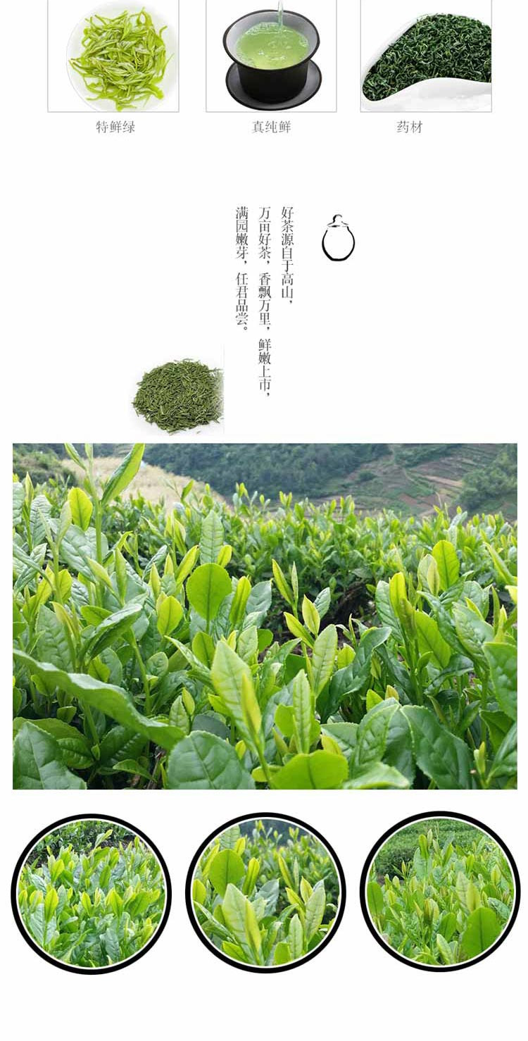 忆江南 明前炒青绿茶 浓香型特嫩芽级罐装400g