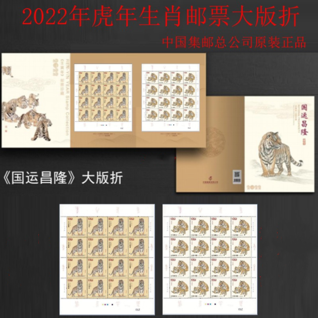 2015  2016  2021--2022年大版折