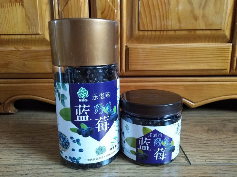 乐滋购蓝莓干250g