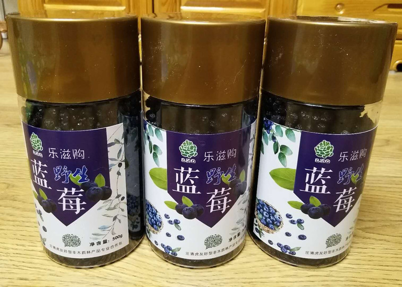 乐滋购蓝莓干250g