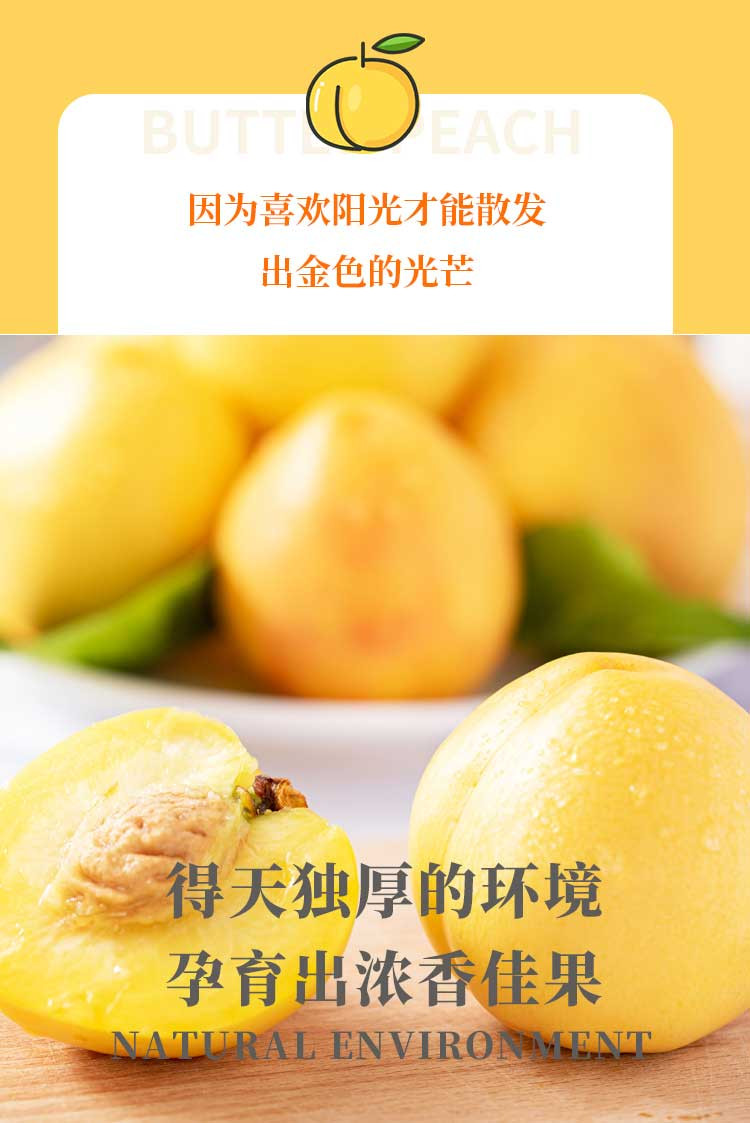 农家自产 【蒙阴振兴馆】蒙阴大棚有机黄油桃9-12个果