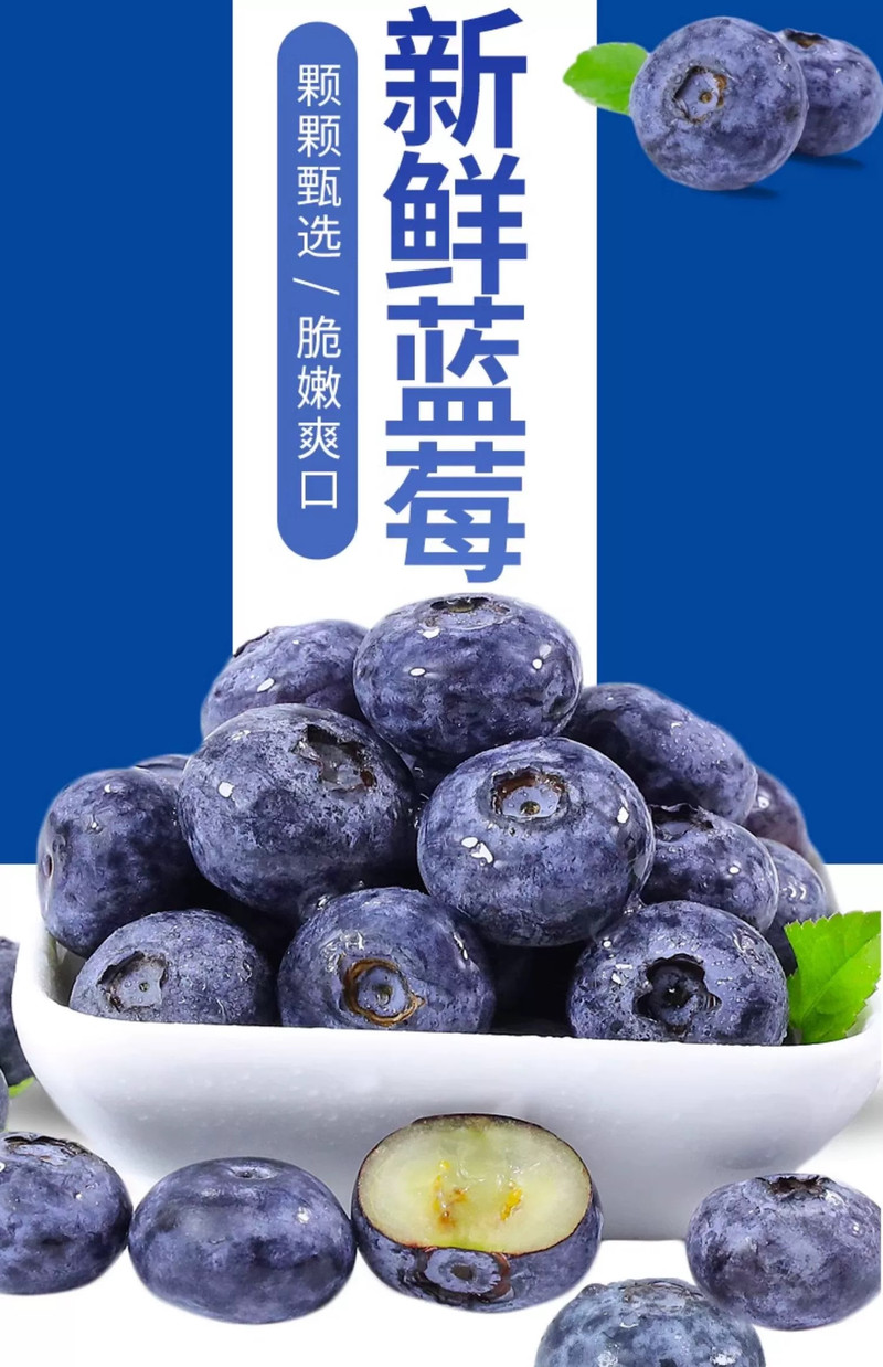 农家自产 【蒙阴振兴馆】蒙阴新鲜蓝莓125g4盒