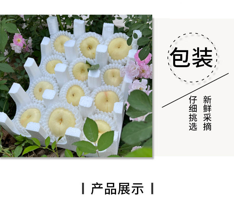 农家自产 【蒙阴振兴馆】蒙阴蜜桃——油桃三拼（奶油蟠、油蟠、黄金油桃）