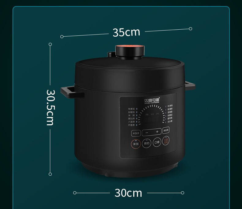 双喜 双喜 大容量智能多功能电压力锅 不粘锅5L/6L DY-060EDY02-X