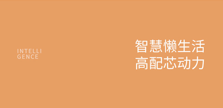 生活元素  多功能豆浆机304级不锈钢0.35L  L16