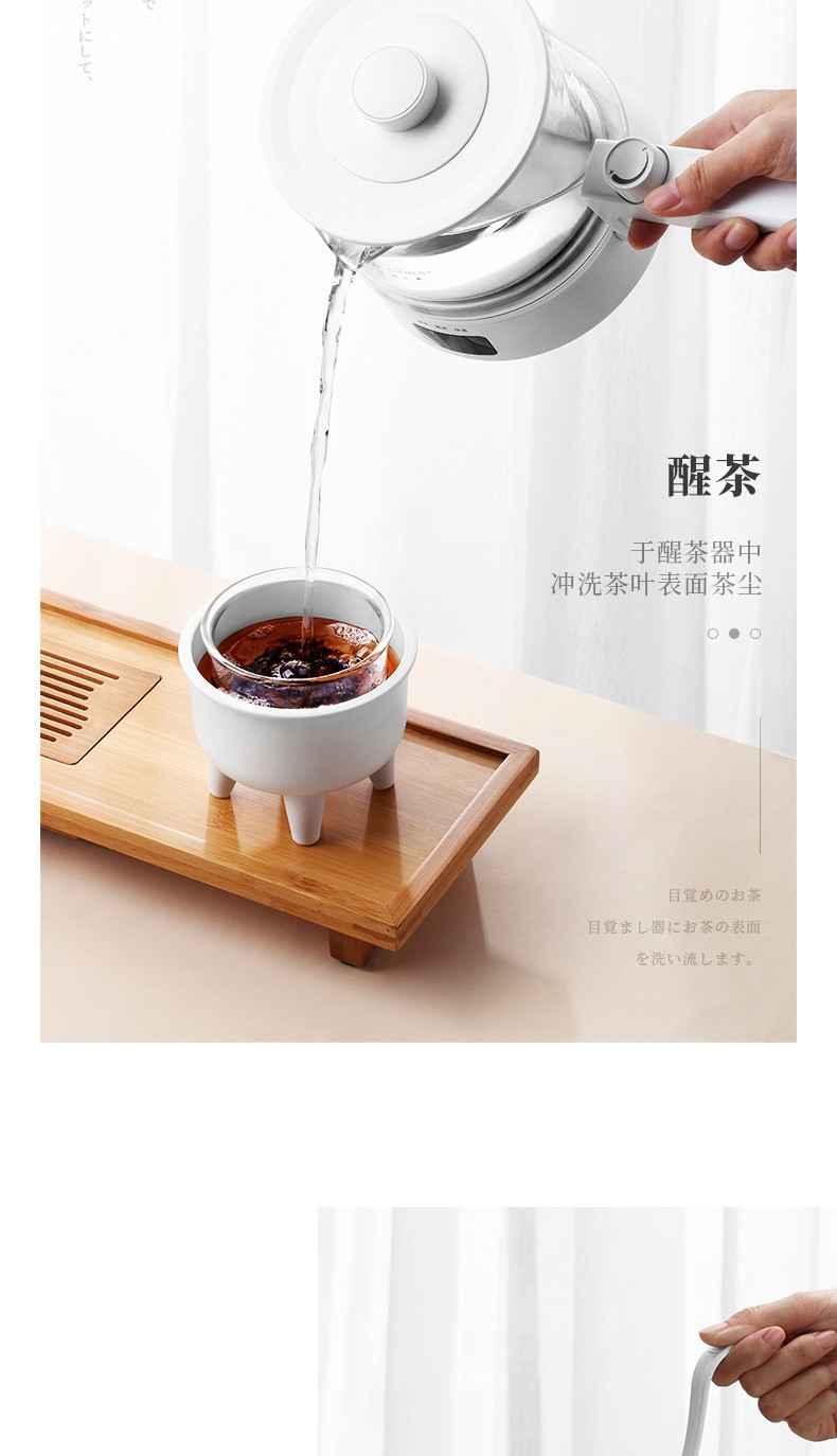 生活元素煮茶器养生壶家用玻璃多功能全自动花茶办公室I90  0.5L