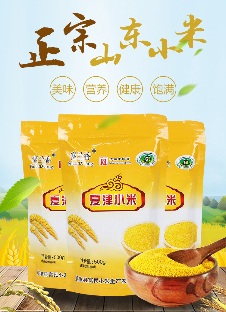 富兰香 【山东邮政】德州富兰香小米 500g/袋*3 粥香粘稠 米油厚 色泽金黄 颗颗饱满 德州馆