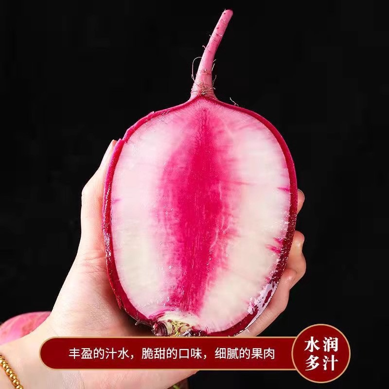 农家自产 冰糖心萝卜5斤包邮【德州馆】