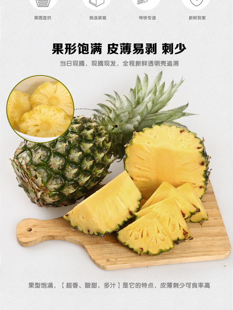 【48小时发货】香水菠萝5斤包邮(买一送一发带箱10) 送菠萝夹 云南河口菠萝香甜小菠萝现摘新鲜水果