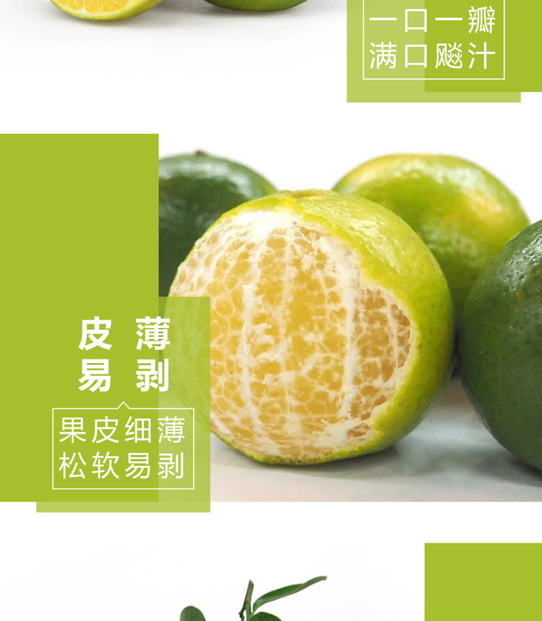 【领券立减10元】皇帝柑3斤/5斤包邮 广西贡柑 清甜可口新鲜水果