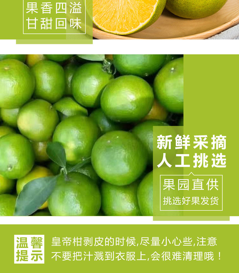 【领券立减10元】皇帝柑3斤/5斤包邮 广西贡柑 清甜可口新鲜水果