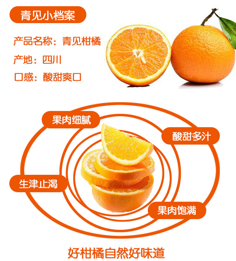 【48小时发货】四川青见柑橘5斤包邮 新鲜桔子柑橘桔子 新鲜时令水果