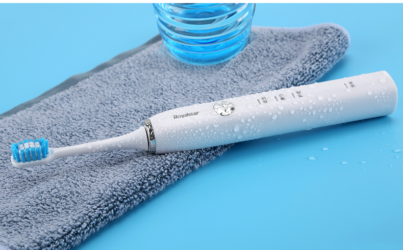 【昶沃贸易】Royalstar/荣事达D1006电动牙刷成人充电式家用软毛声波美白