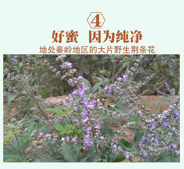 桐山源荆条蜜（仅限南阳地区积分兑换）