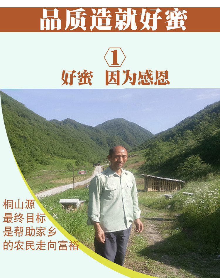 桐山源荆条蜜（仅限南阳地区积分兑换）