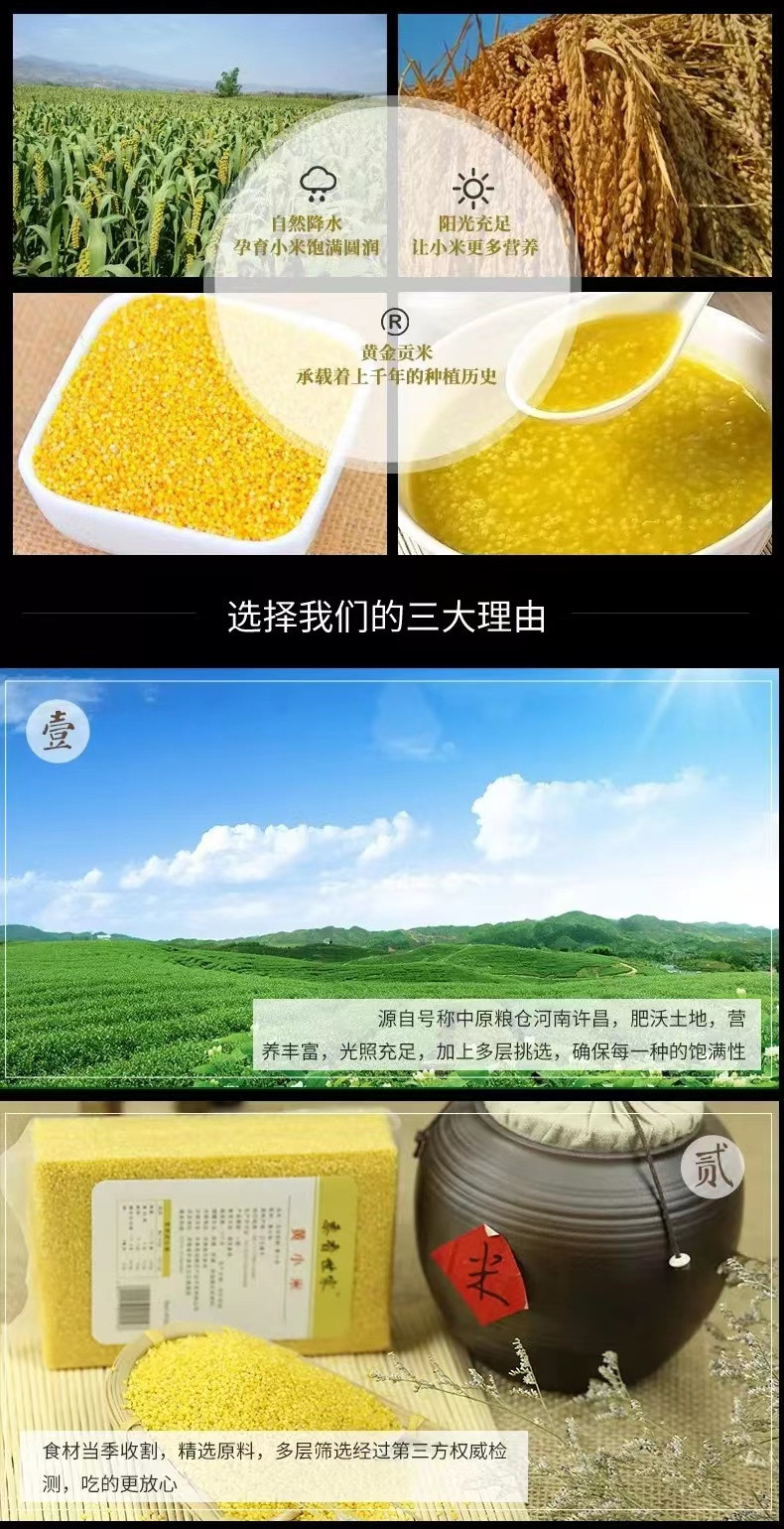 黍香世家 榆林黄金贡米