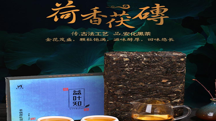 益叶知安化黑茶手工古法2014年高山荷礼茯茶1kg