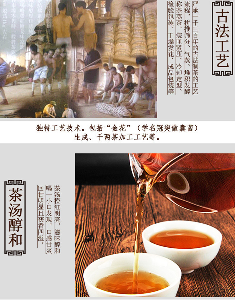 益叶知安化黑茶湖南特产手工古法黑茶2009年原料陈年金茯1000g