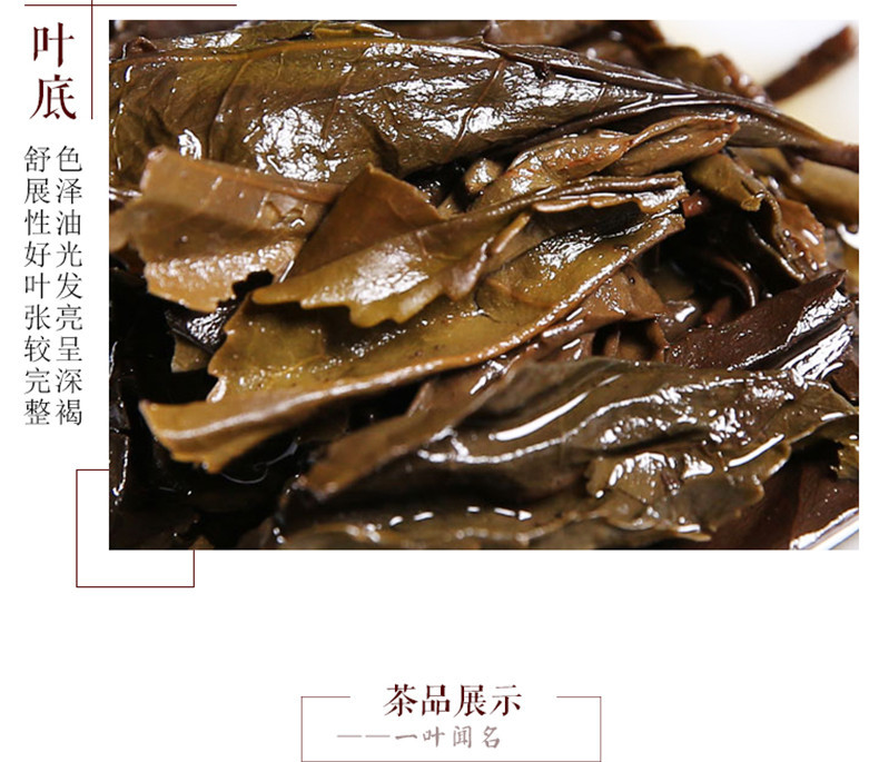 益叶知安化黑茶湖南特产手工古法2013年金花百两茶柱3625g