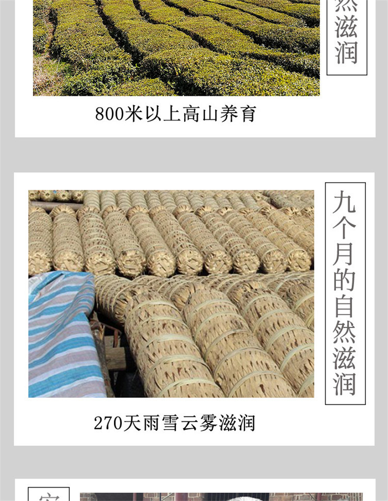 益叶知安化黑茶湖南特产手工古法黑茶2009年原料陈年金茯1000g