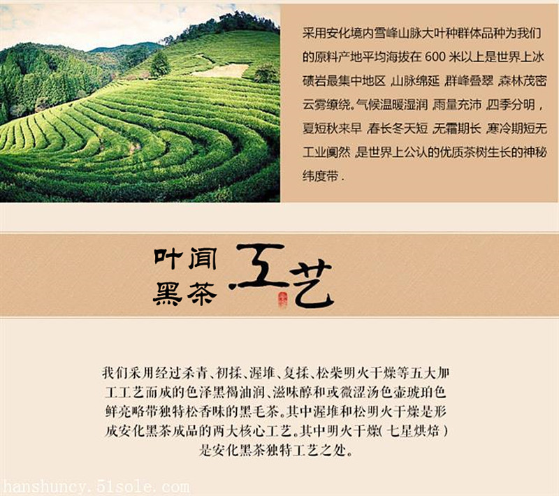 益叶知安化黑茶手工古法2013年高山贡品特级天尖茶竹篓装1kg