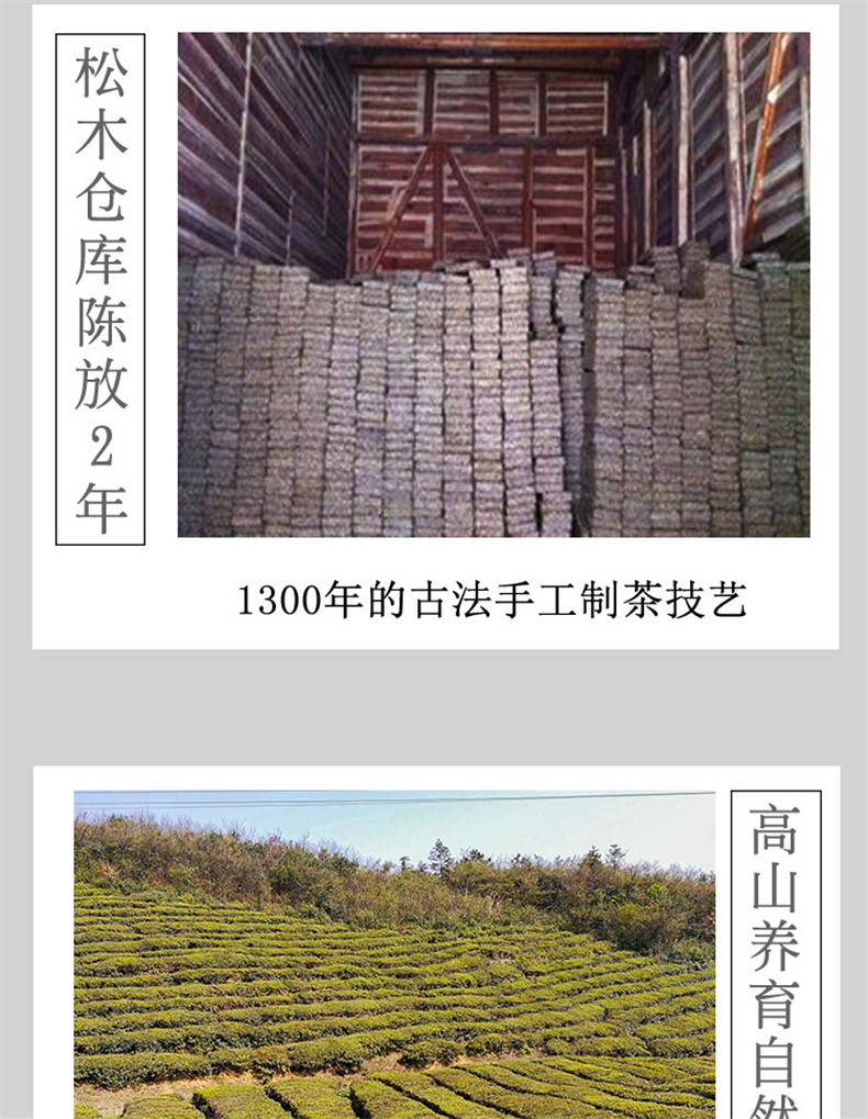 益叶知正宗安化黑茶湖南特产手工古法2015年云台山高山原叶金茯2000g