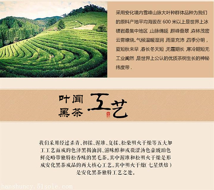 益叶知 安化黑茶湖南特产叶闻手工古法年份黑茶2012年高山千两茶年份妙品茶饼650g