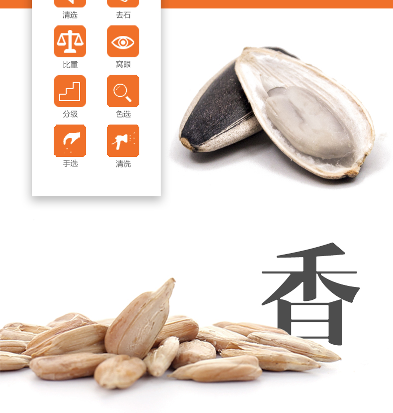 【强国】内蒙古乌兰察布鹦鹉世家瓜子100g*2