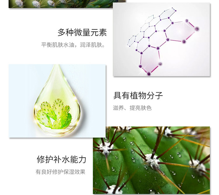 波斯顿 波斯顿仙人掌调控爽肤水补水保湿收缩毛孔120ml