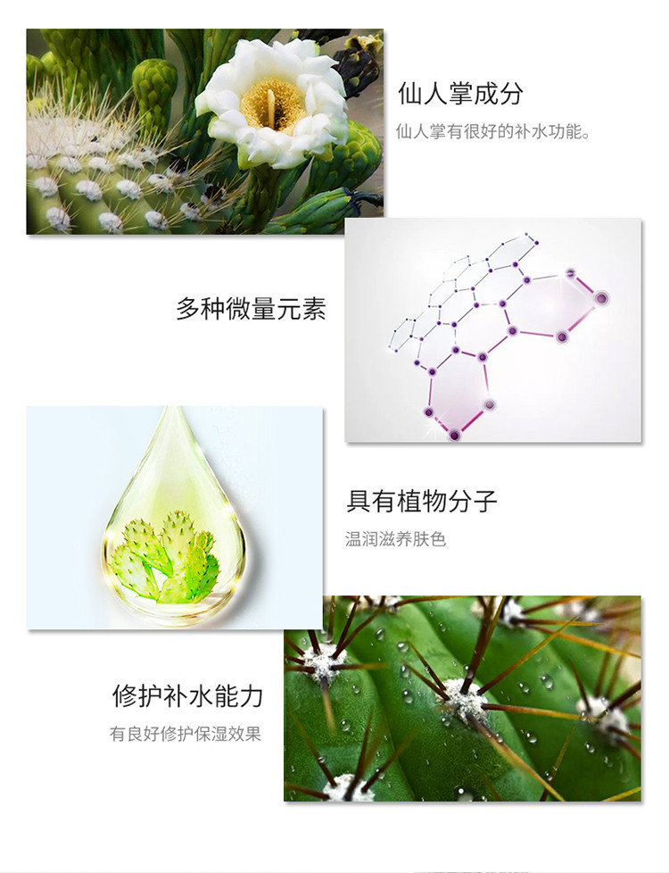 波斯顿 波斯顿仙人掌净爽保湿洁面乳洗面奶深沉清洁120g