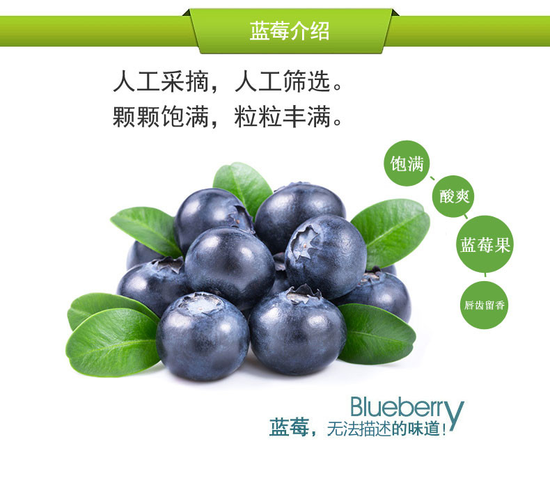 林海源  野生蓝莓果干  200g/紫袋
