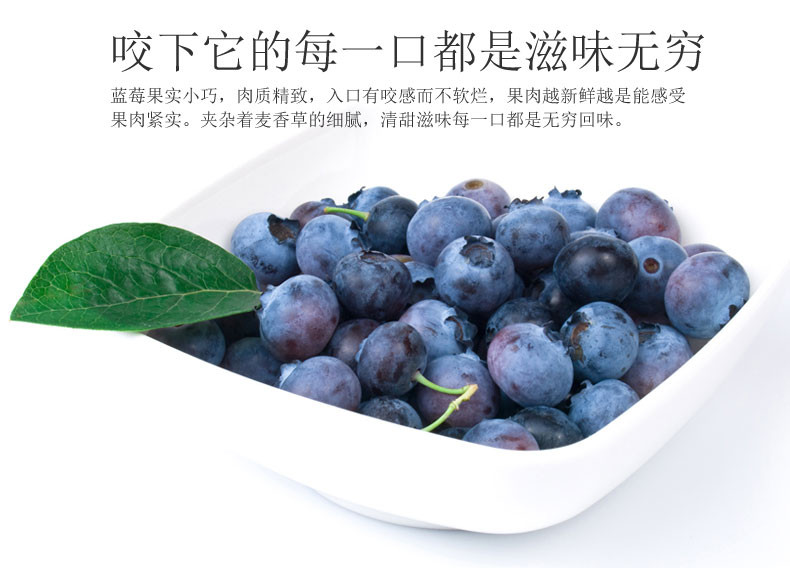 林海源  野生蓝莓果干  400g/紫袋
