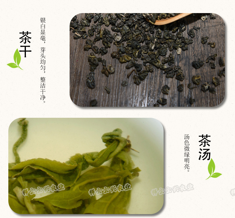 明前春茶  一级碧螺春茶绿茶  一份500g