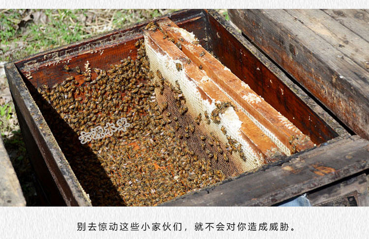 纯天然野生蜂巢蜜 盒装蜂蜜 无添加500g