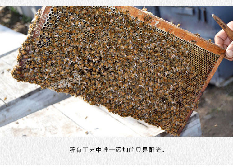 纯天然野生蜂巢蜜 盒装蜂蜜 无添加500g