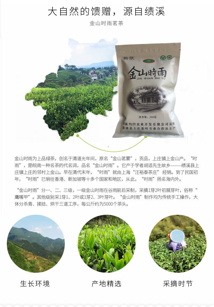 瀚徽  【消费帮扶】绩溪茶叶金山时雨 250g袋装 高山云雾绿茶