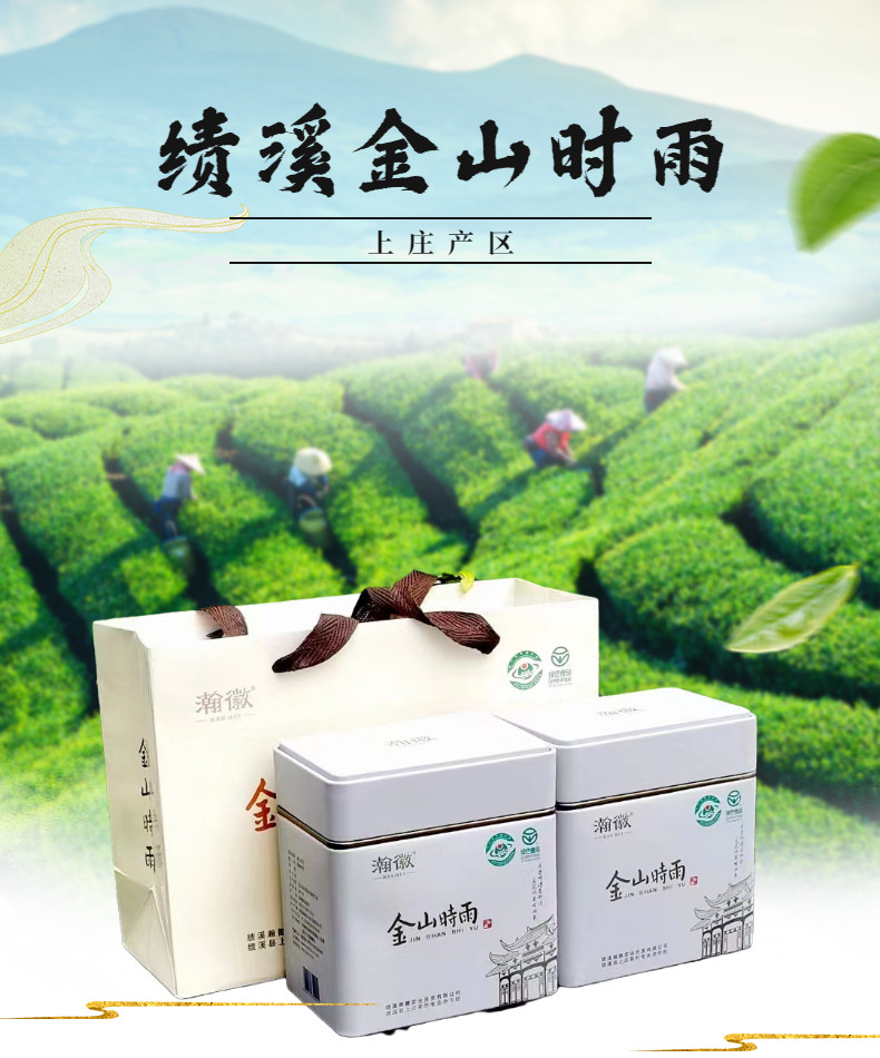 瀚徽 【消费帮扶】绩溪金山时雨  雨前二级  罐装简装茶250g*2罐