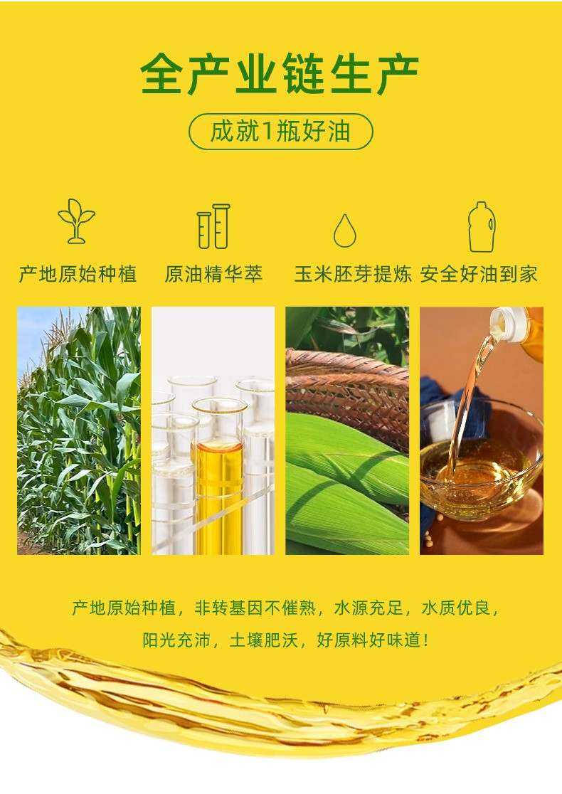 新德龙 【非转基因】玉米胚芽油  家用烘焙好搭档900ml