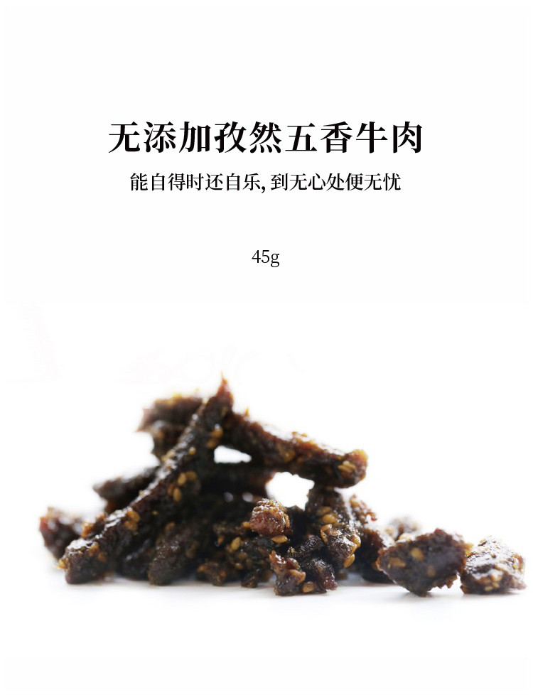 食味的初相 手工  休闲好吃零食 孜然五香牛肉干  45g*3