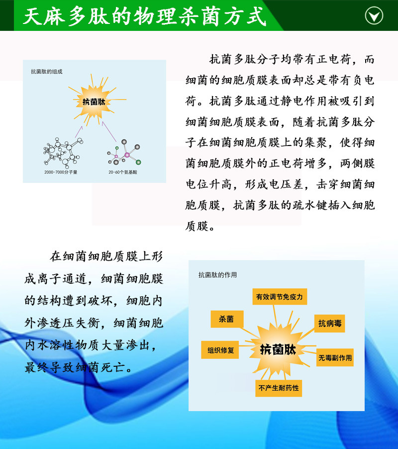 仁生源抗菌肽妇用凝胶