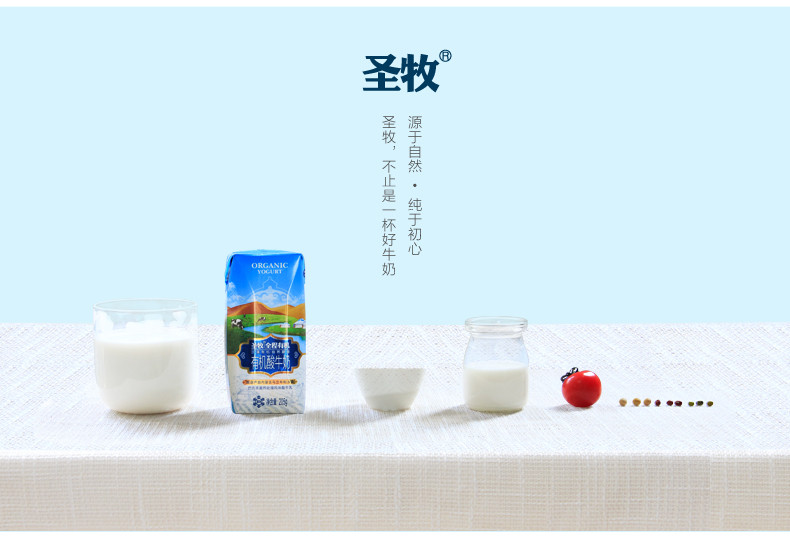 【全国包邮】11月日期，圣牧全程有机酸牛奶205g*12,原味，沙漠有机。