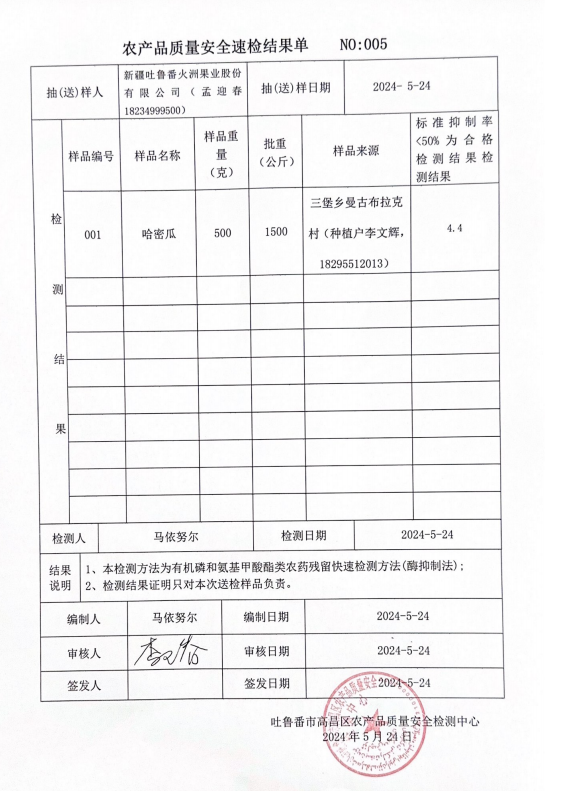 火洲游记 KLMY吐鲁番西州密25号7-8斤