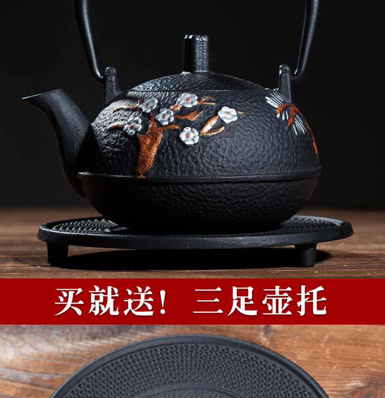 天天红 400-800ml日本南部铸铁茶壶 功夫烧水煮茶壶 正宗补铁烧热水壶