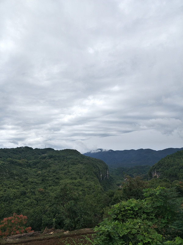 【松滋馆】卸甲坪高山土豆5斤,除新疆、西藏、青海、北京地区外包邮