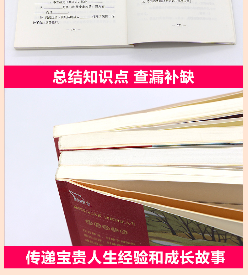 森林报全四册 春夏秋冬合集 11-14岁儿童科普读物 四五六年级中小学生课外阅读书籍