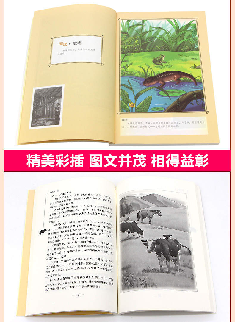 森林报全四册 春夏秋冬合集 11-14岁儿童科普读物 四五六年级中小学生课外阅读书籍