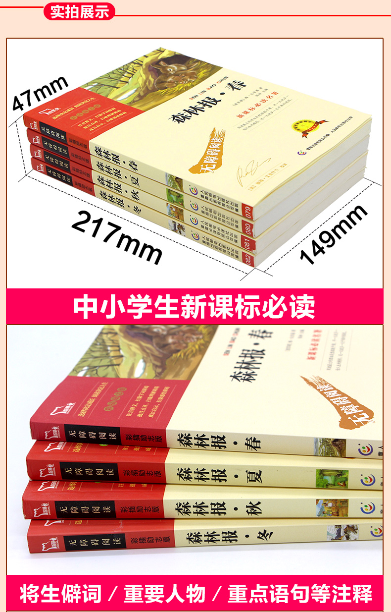 森林报全四册 春夏秋冬合集 11-14岁儿童科普读物 四五六年级中小学生课外阅读书籍