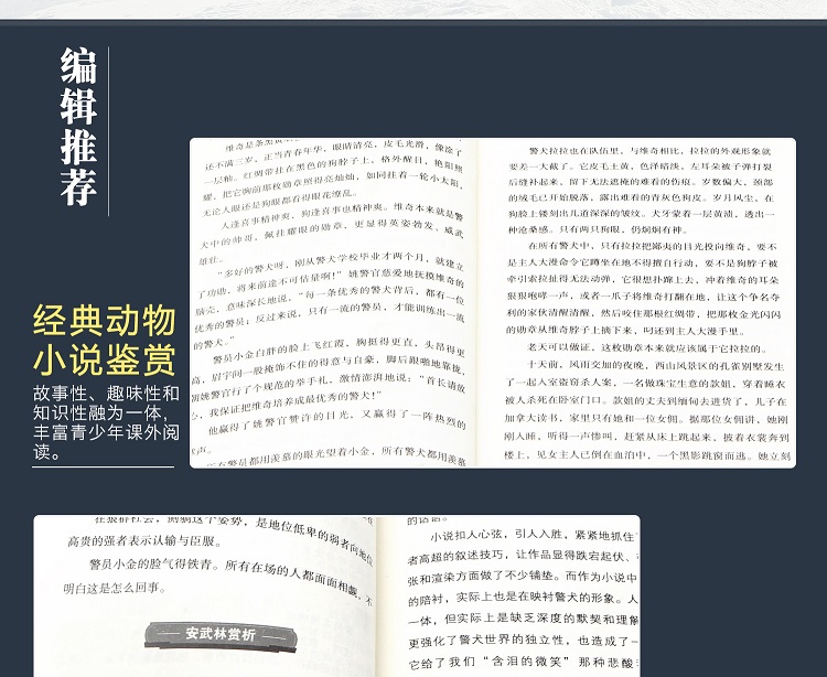 沈石溪动物小说全集套装8册 狼王梦动物小说大王沈石溪作品系列7-10岁儿童读物图书故事书籍