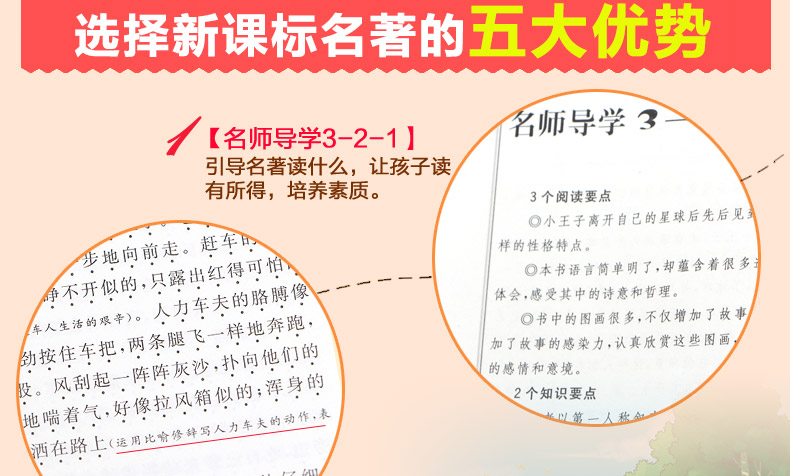 艾青诗选 彩插励志版无障碍阅读 语文新课标必读 智慧熊系列 儿童图书