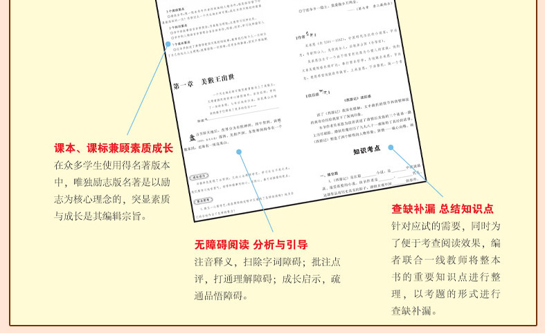 地心游记 彩插励志版 语文新课标必读无障碍阅读 智慧熊系列